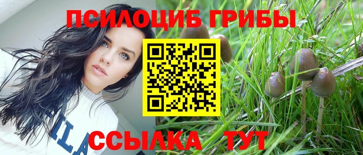 Галлюциногенные грибы мухоморы  Вход с VPN  Лысьва  Псилоцибиновые грибы мухоморы 